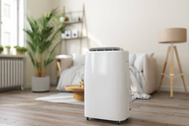 Best Ductless Mini-Split Systems in Capitan, NM